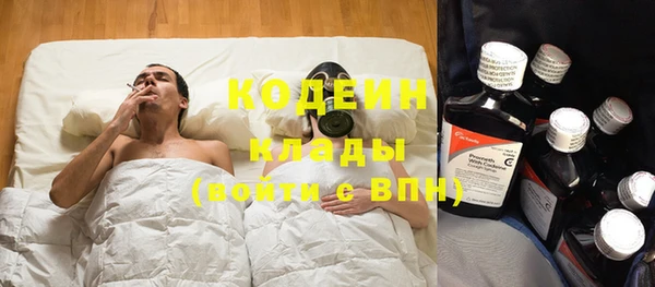 индика Богданович