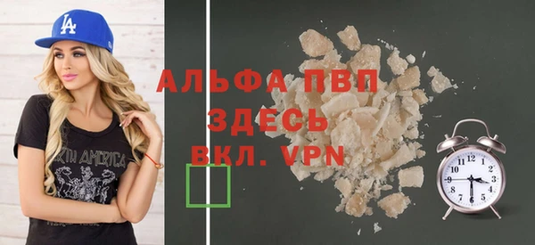 индика Богданович
