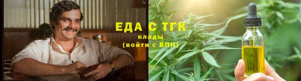 индика Богданович