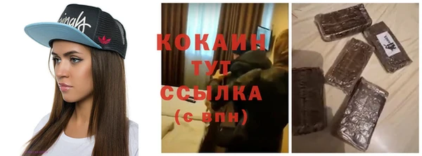 индика Богданович