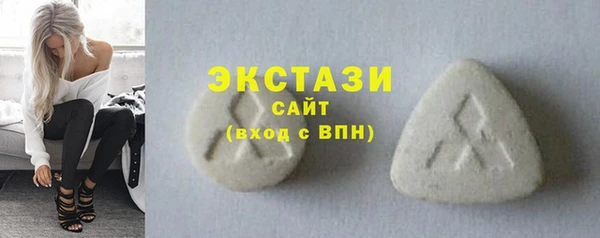 ECSTASY Богородицк
