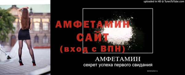 индика Богданович