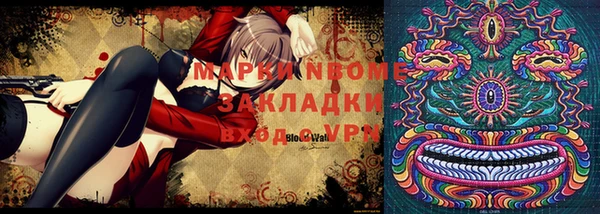 индика Богданович