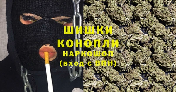 ECSTASY Богородицк