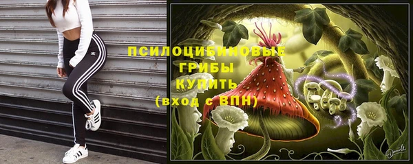 ECSTASY Богородицк