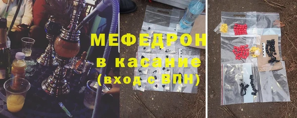 индика Богданович