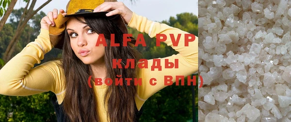 индика Богданович