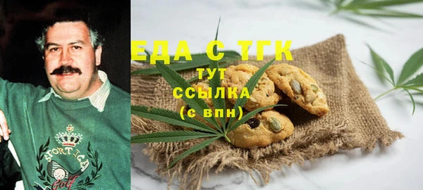 индика Богданович