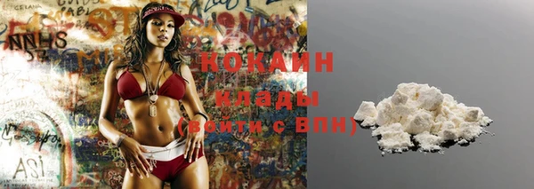 ECSTASY Богородицк