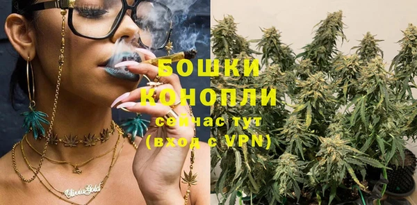 индика Богданович